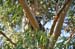 Brisbane 044