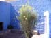 Arequipa (22)