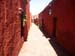 Arequipa (25)