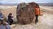 Comodoro (63)