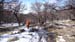 Fitz Roy (13)
