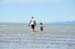 South Island 010