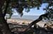 South Island 012