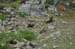 South Island 078