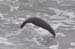 South Island 148
