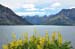 South Island 519