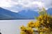 South Island 575