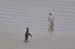 South Island 728