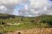 North Island 061