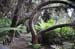 North Island 067