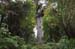 North Island 071
