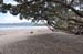 North Island 117