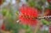 North Island 152