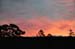 North Island 334