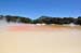 North Island 525