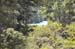 North Island 533