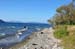North Island 593