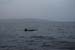 Vers Lagunilla (33)