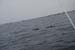 Vers Lagunilla (34)