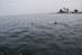 Vers Lagunilla (56)