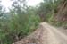 NSW 09 - 051