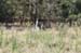 NSW 10 - 027