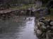 Pucon (10)