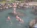 Pucon (11)