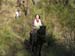 Pucon (19)