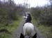 Pucon (24)