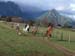 Pucon (26)