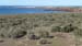 Punta Tombo (04)