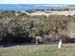 Punta Tombo (51)