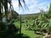 Rapa Nui (09)
