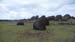 Rapa Nui (14)