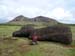 Rapa Nui (36)