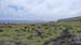 Rapa Nui (82)