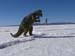 Salar (24)
