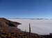 Salar (66)