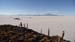 Salar (69)