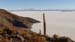 Salar (71)