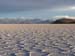 Salar (88)