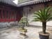 Shanghai 101