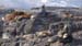 Tierra de Fuego (33)