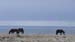 Tierra de Fuego (53)