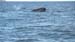 Puerto Madryn (017)