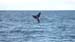 Puerto Madryn (020)