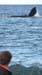Puerto Madryn (022)