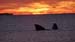 Puerto Madryn (092)