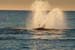 Puerto Madryn (111)